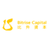 比升资本(Bitrise Capital)