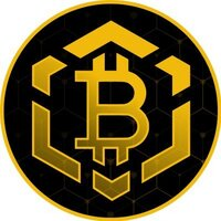 Bitcoin BSC