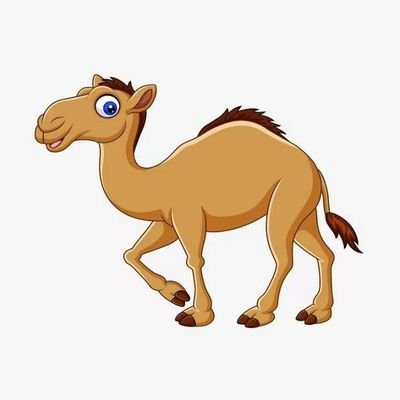 Camel Token