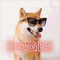 DOGES Token