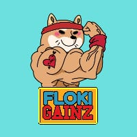 FlokiGainz