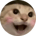 hajimi