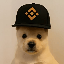 PUP (pupxbnb.com)
