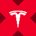 Tesla tokenized stock (xStock)