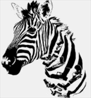 Zebra Token
