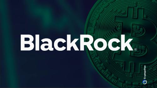  BlackRock探索了SEC文件中$ 150B財政基金的DLT股票 