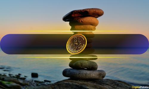 IMOV - Upcoming Partnership