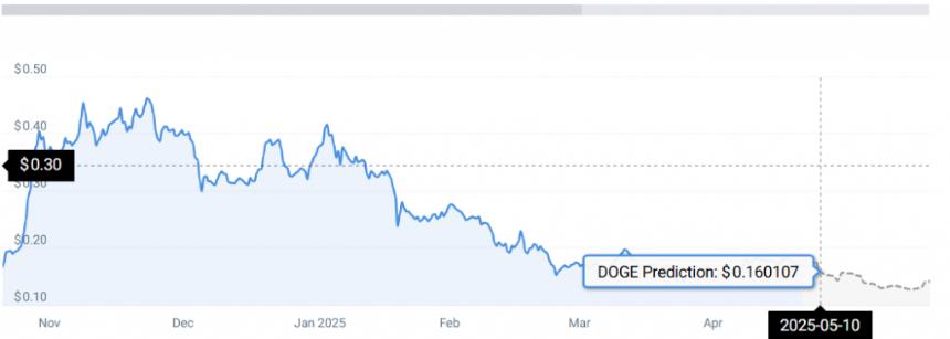 DOGE STATS