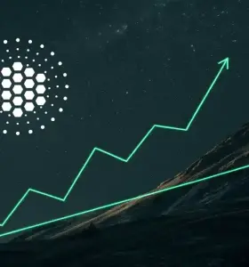 IMOV - Upcoming Partnership