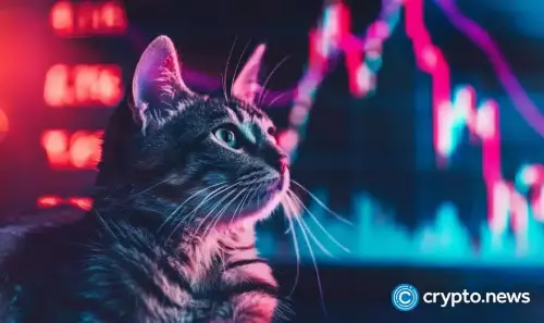  POPCAT price surges 15% as smart money buys fuel rally toward $0.70 target 
