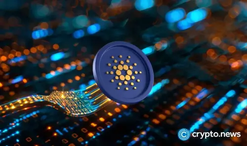 IMOV - Upcoming Partnership