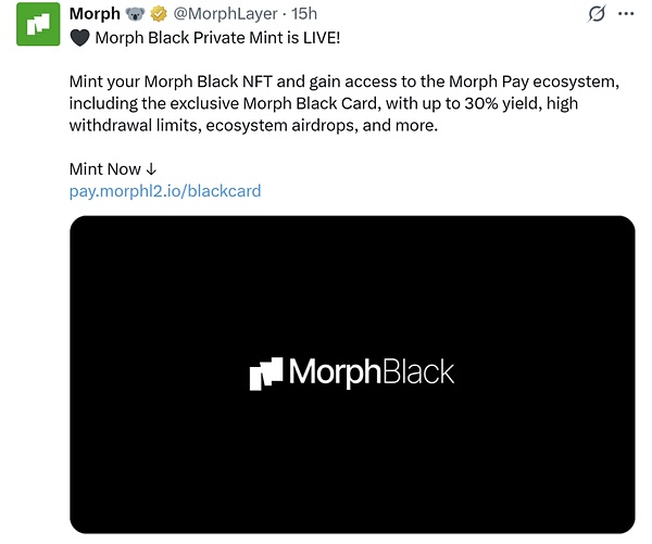 消费级区块链 Morph 的破局之路：支付串联金融 迈向消费