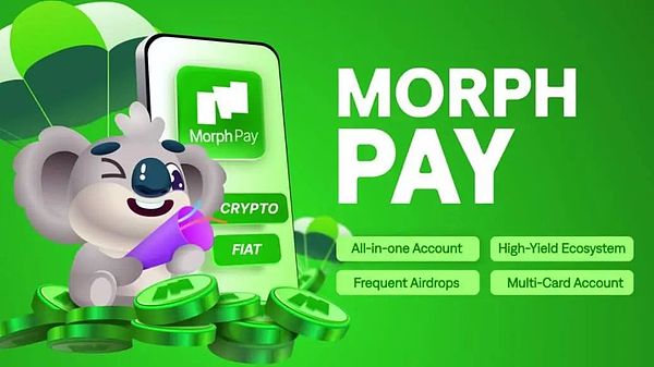消费级区块链 Morph 的破局之路：支付串联金融 迈向消费