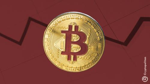 IMOV - Upcoming Partnership