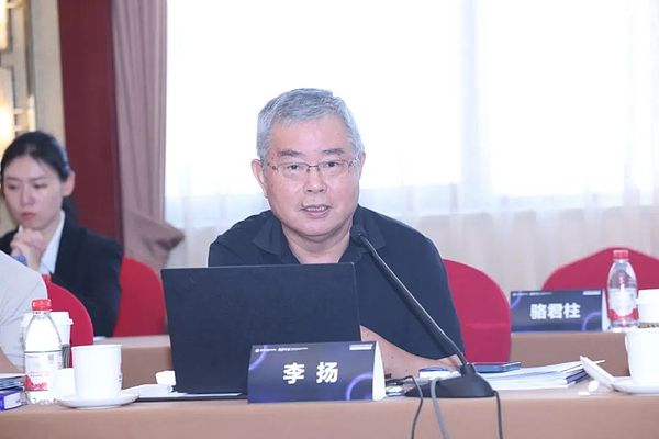 國家金融與發展實驗室理事長李揚：“穩定幣”五議