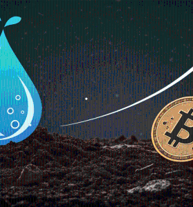 IMOV - Upcoming Partnership
