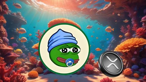  2025 年值得关注的 6 种顶级加密货币：Ripple（XRP）、Little Pepe（LILPEPE）有望取得突破 