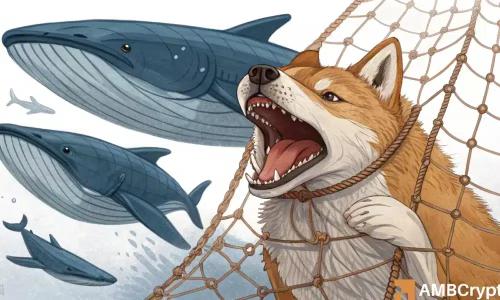  柴鲸悄然囤积——SHIB 准备好在 9 月爆发突破性上涨了吗？ 