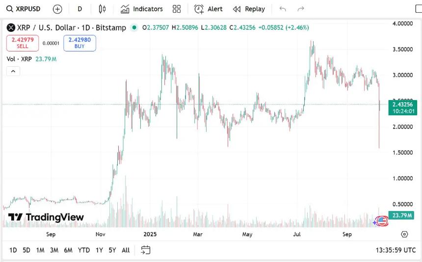  Ripple（XRP）价格预测：到 2028 年 XRP 价格能否达到 100 美元 