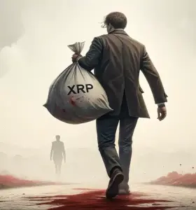 IMOV - Upcoming Partnership